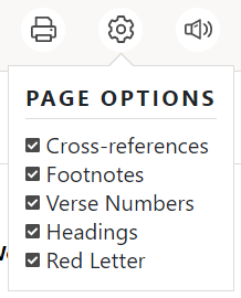 PageOptions.png